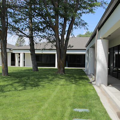 detox-slc-utah-rehab trees on a yard