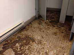 The Risks of Sewage Backup: Health Hazards and Environmental Concerns