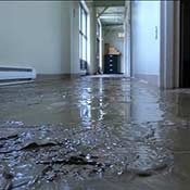The Role of Advanced Technology in Efficient Sewage Cleanup