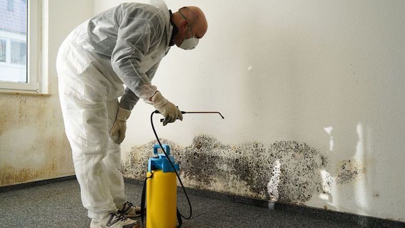 Make Sure to Check for Mold Before Listing Your Home for Sale