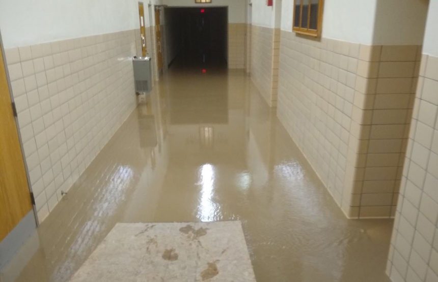 Preventing Sewage Backup: Maintenance Tips for Homeowners