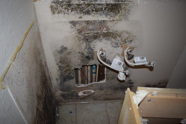 Mold Cleanup