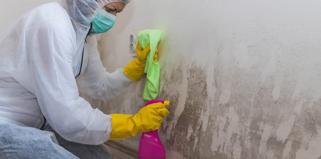 How to Choose the Right Basement Cleaning Service for Your Needs