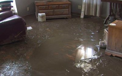 Navigating The Aftermath A Guide To Handling Sudden Water Damage Emergencies