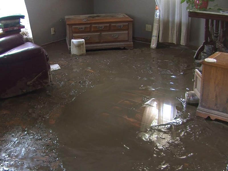 Navigating The Aftermath A Guide To Handling Sudden Water Damage Emergencies