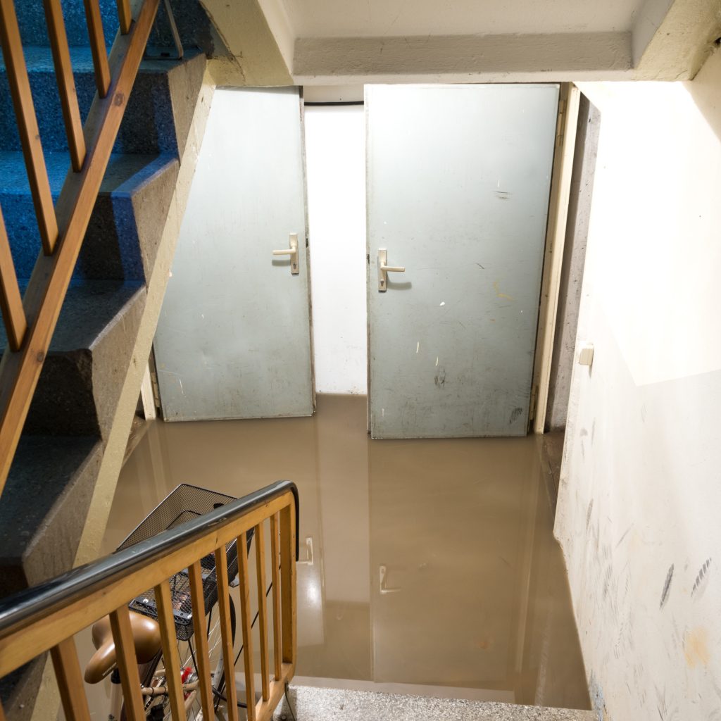 Steps for Proper Water Extraction and Home Restoration