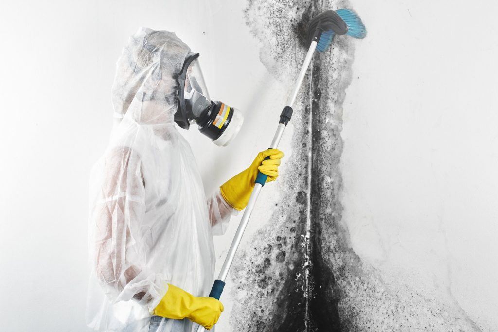 A professional disinfector in