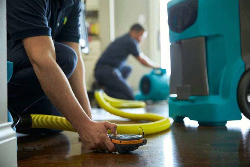 Dealing with Basement Water Damage: Cleaning and Restoration Techniques