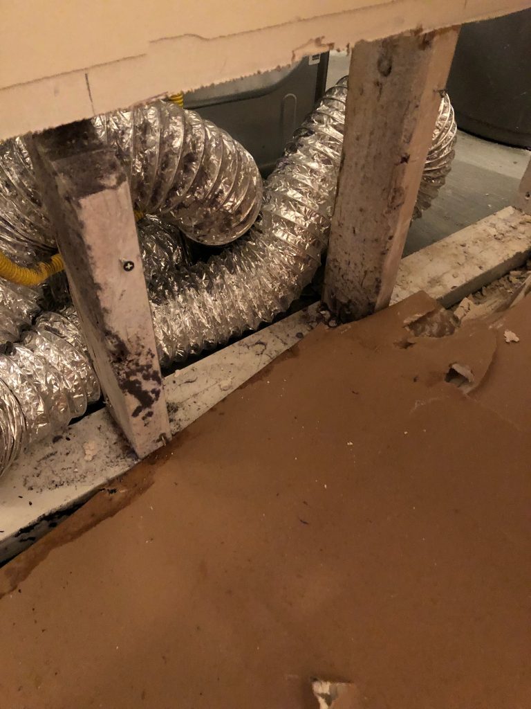 crawl spaces Cleaning