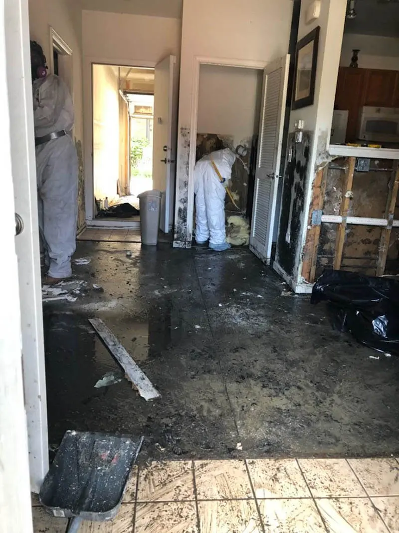 Flood Damage Restoration Services Flood Damage Restoration Services