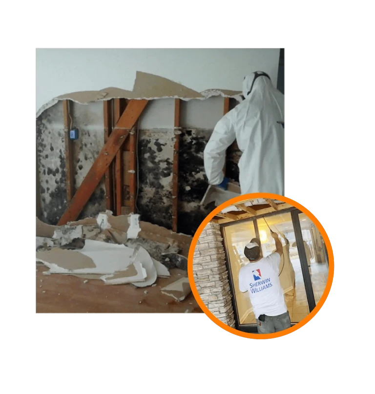 quick-response-for-mold-damage-water-damage-and-fire-damage